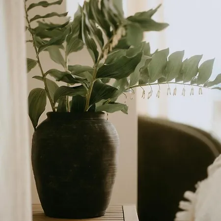Cozy Izeria Prázdninový dům *