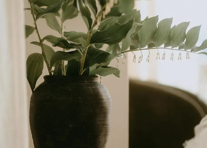 Cozy Izeria 펜션 *